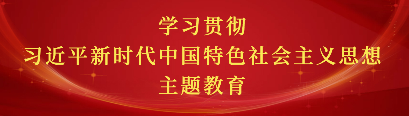 学习贯彻习近平新时代中国特色社会主义思想主题教育